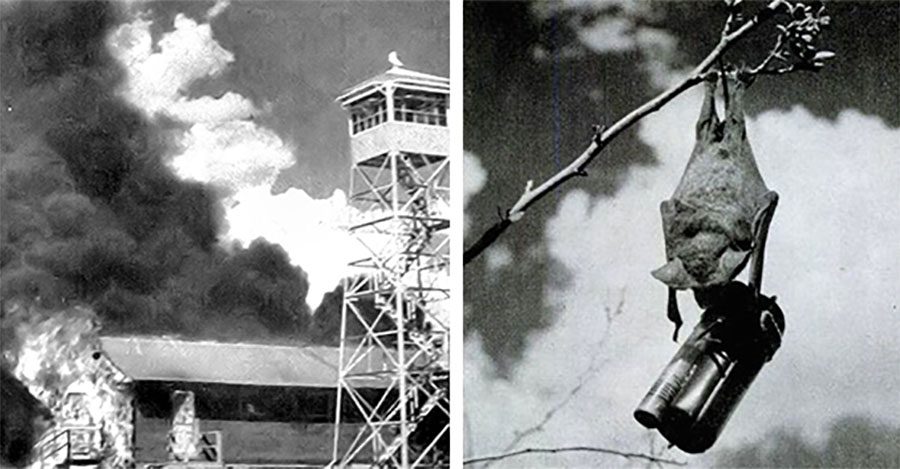 The Classified WWII Weapons Program Behind Our Name