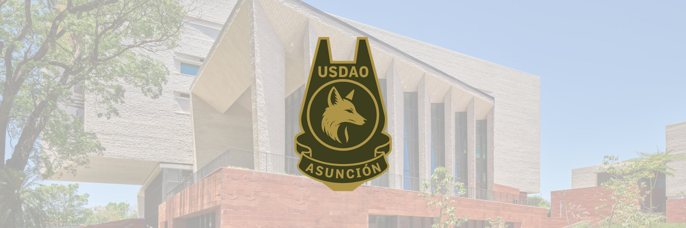 USDAO, Asuncion Paraguay Project