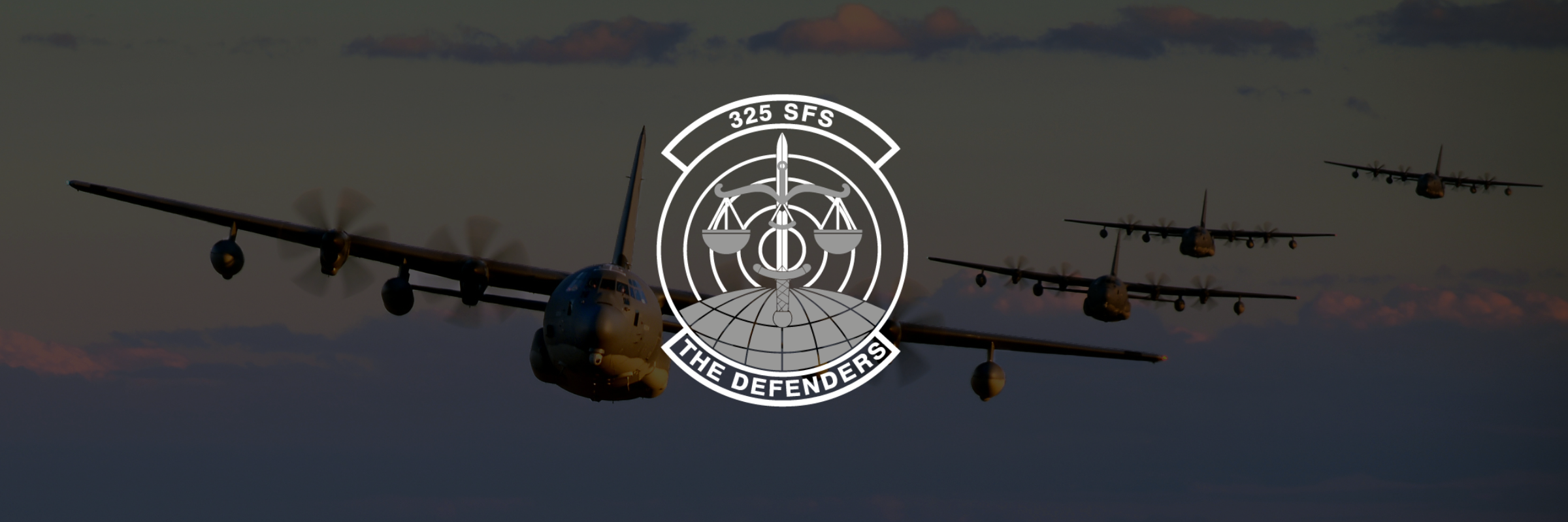 325 SFS Project