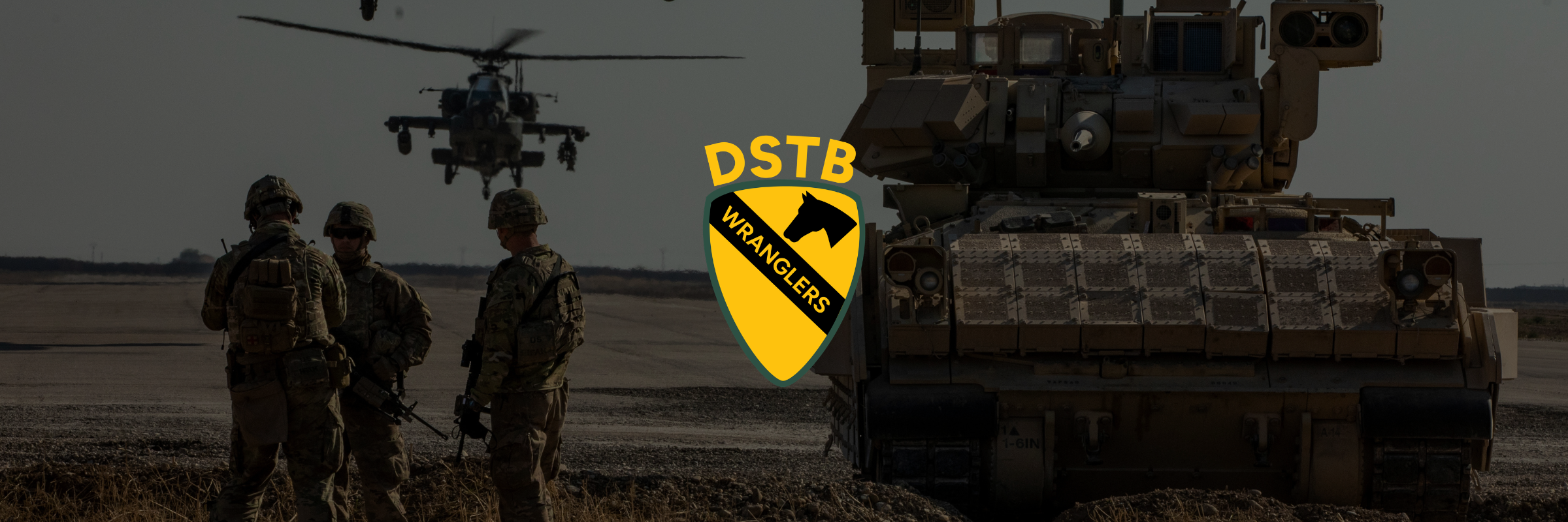 DSTB BOSS  Store