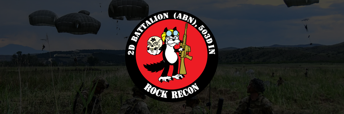 Recon Plt, Destined Co, 2-503 IN Store